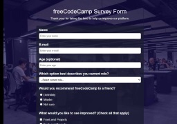 Survey Form Page preview